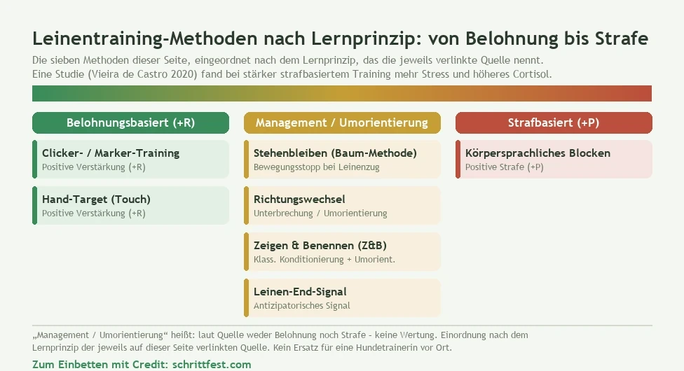 Leinentraining-Methoden nach Lernprinzip eingeordnet: Belohnung (+R), Management/Umorientierung und Strafe (+P)
